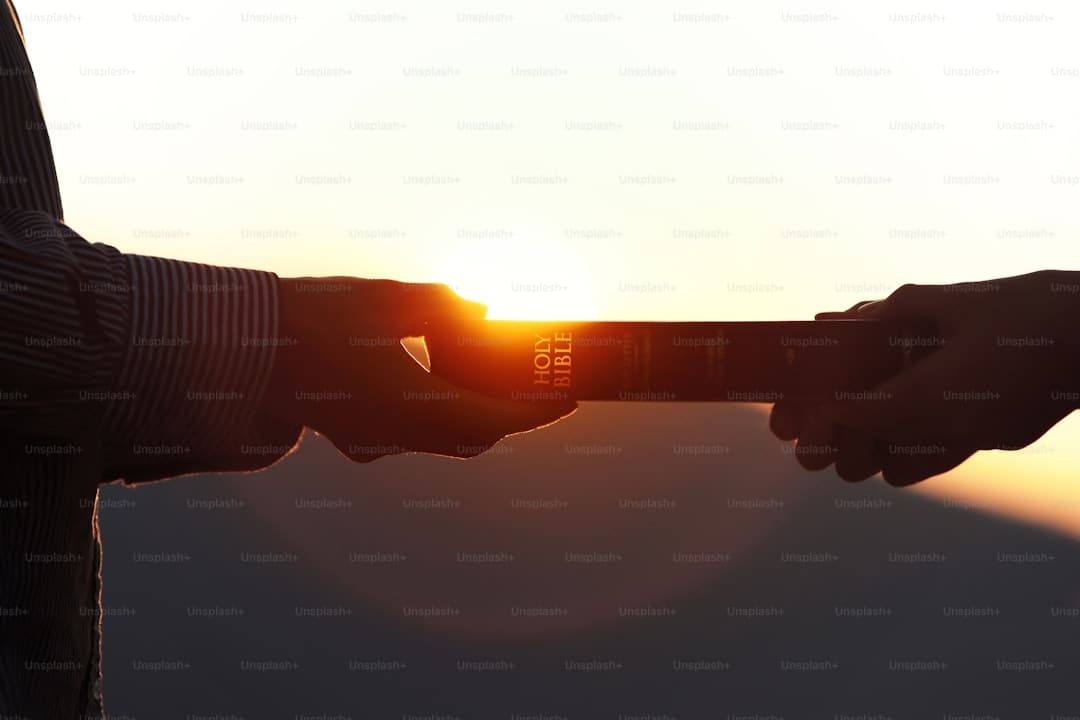 https://p4.img.cctvpic.com/photoworkspace/contentimg/2025/09/06/2025090606155917492.jpg